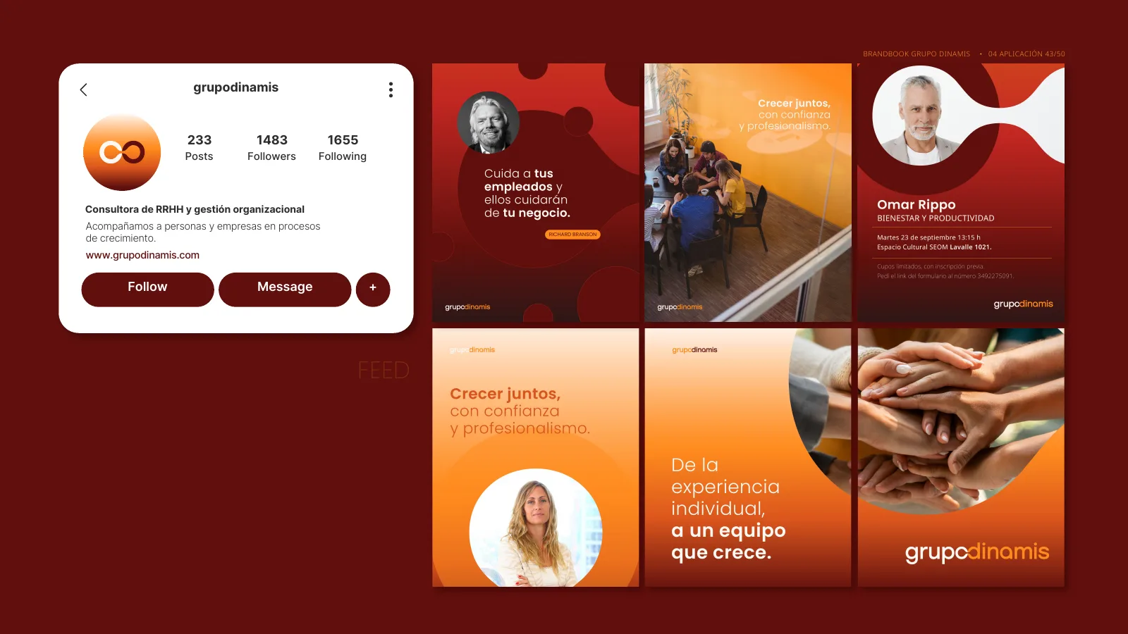 Feed de Instagram de Grupo Dinamis con sistema visual aplicado